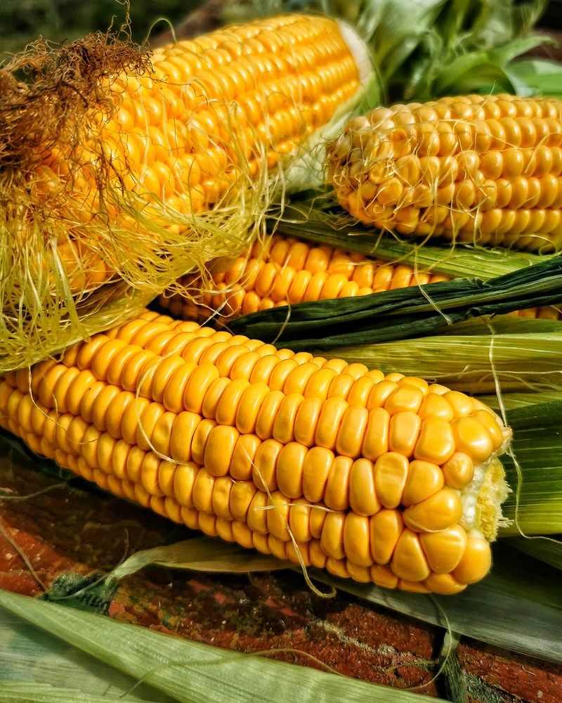 Photograph by Наталья Асоскова