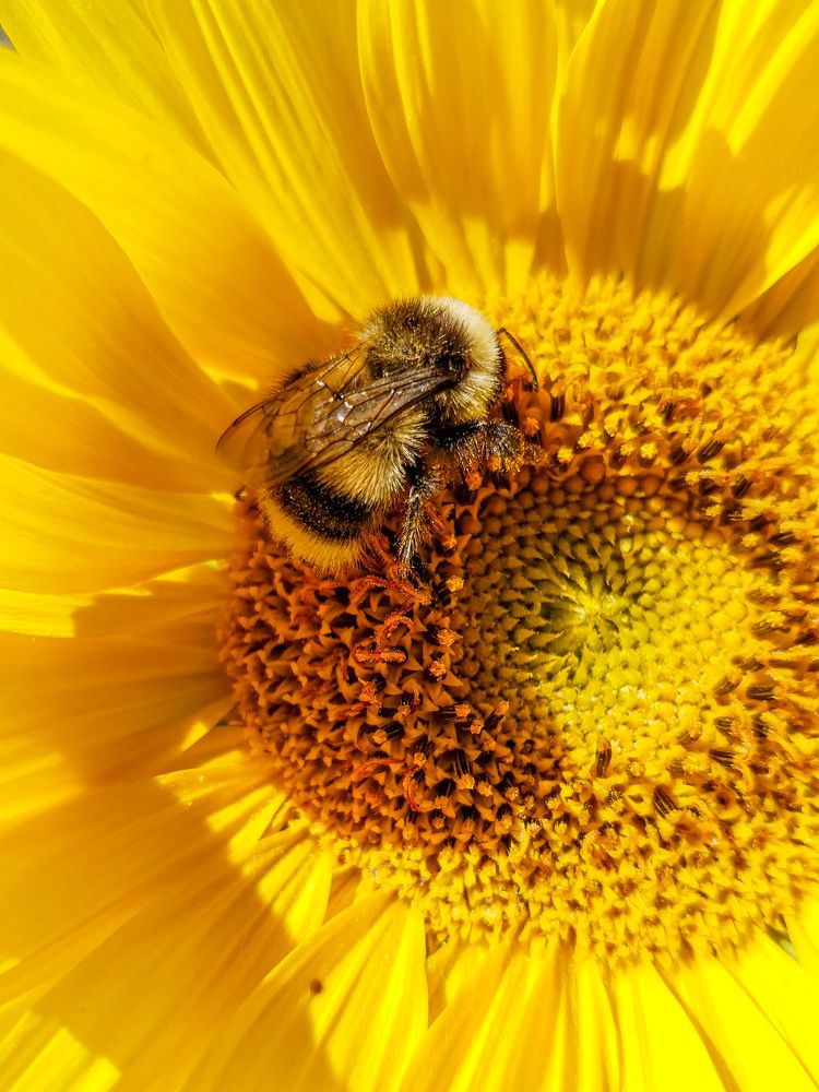 Photograph by Дарья Целуйко