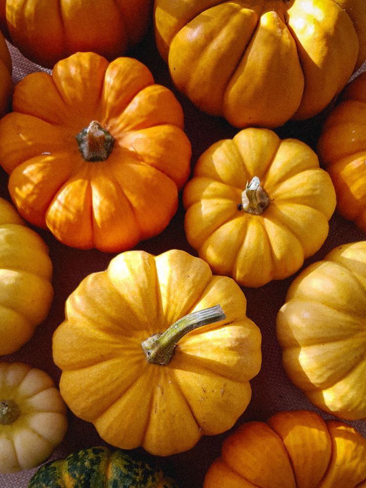 Photograph by Дарья Целуйко