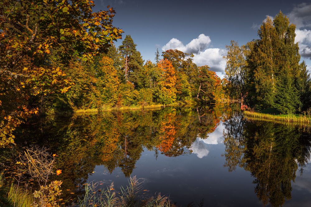 Photograph by Dace Spalvina