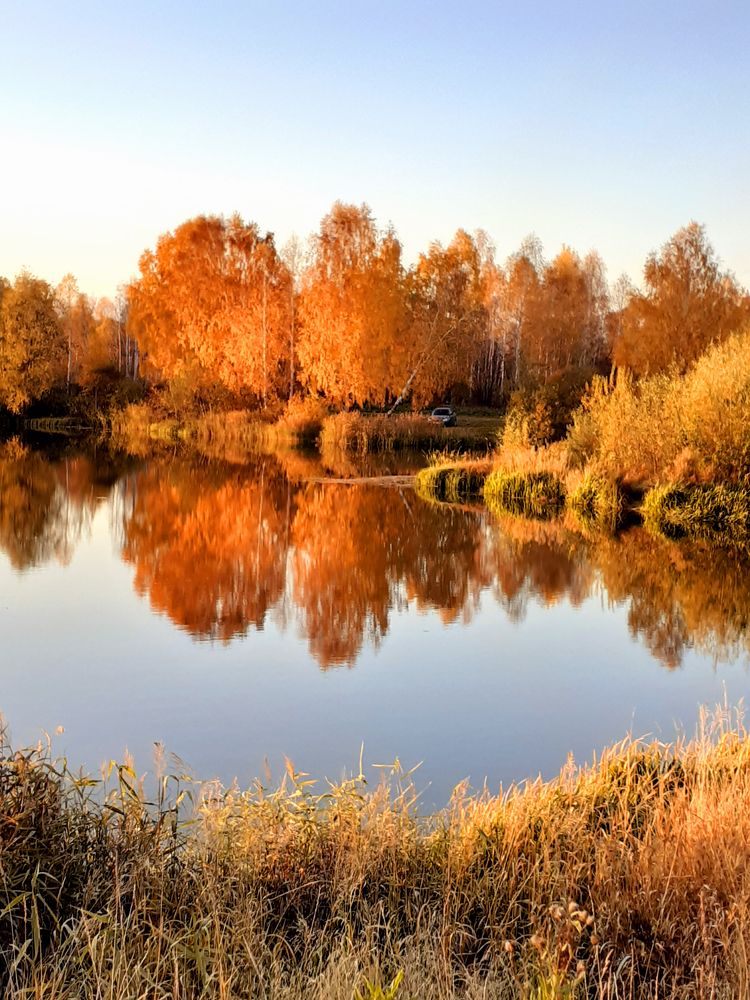 Photograph by Ирина Пичугина