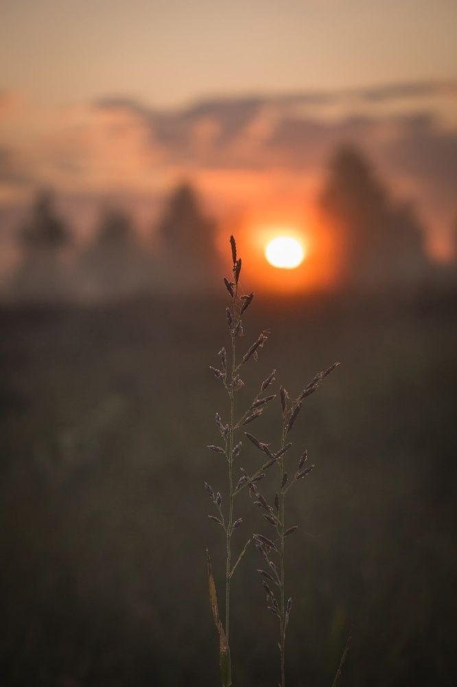 Photograph by Ольга Сергеенко