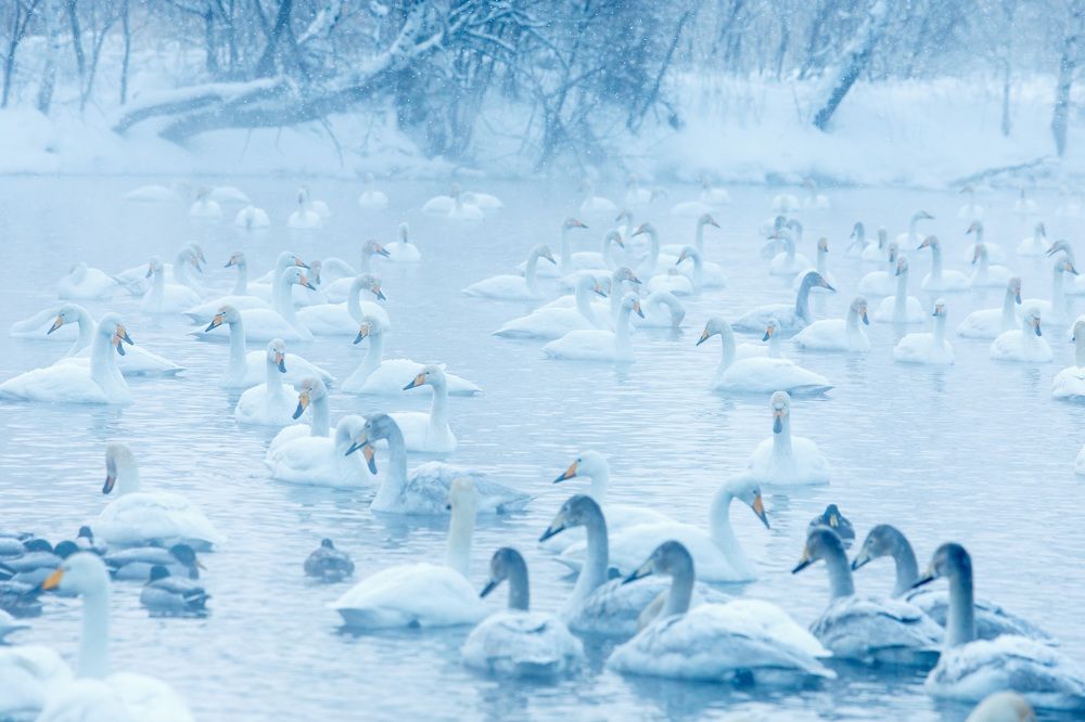 Photograph by Людмила Аксенова