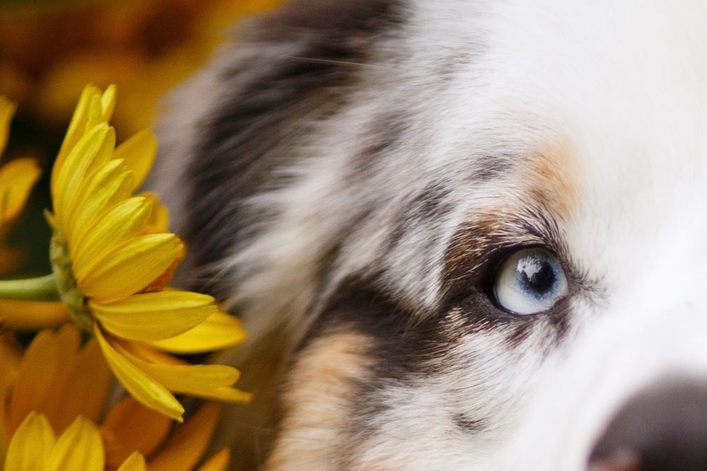 Photograph by Евгения Костусева