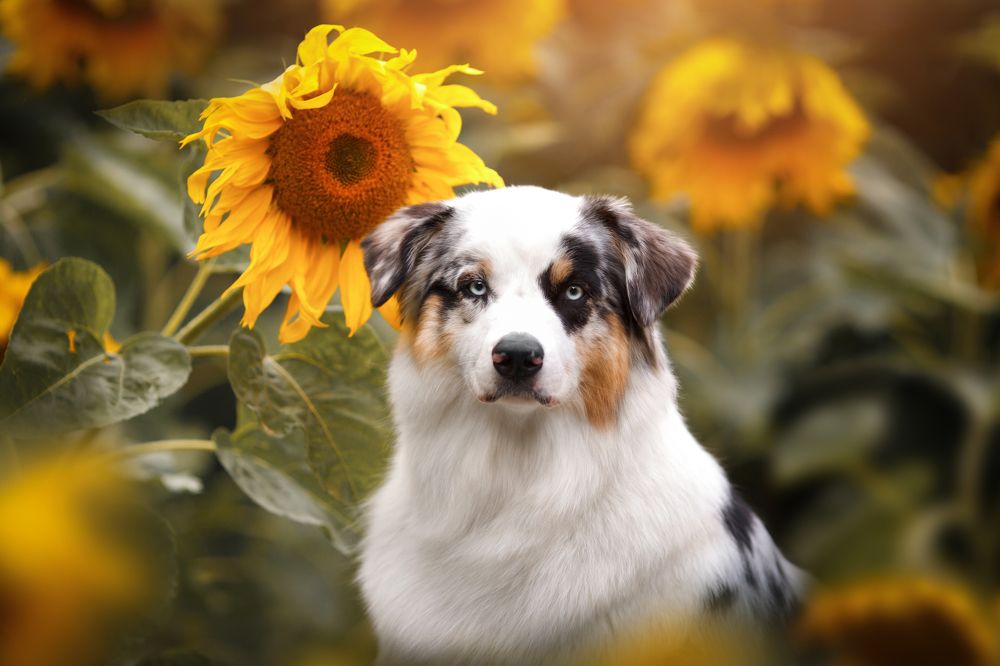 Photograph by Евгения Костусева