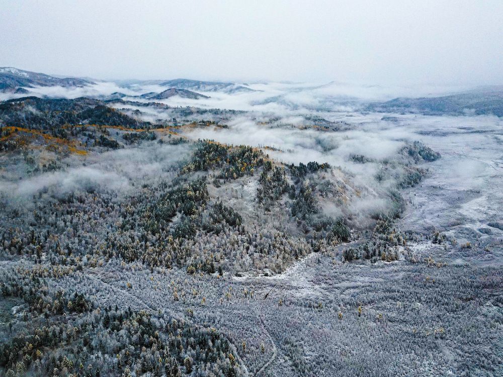 Photograph by Анна Рогачева