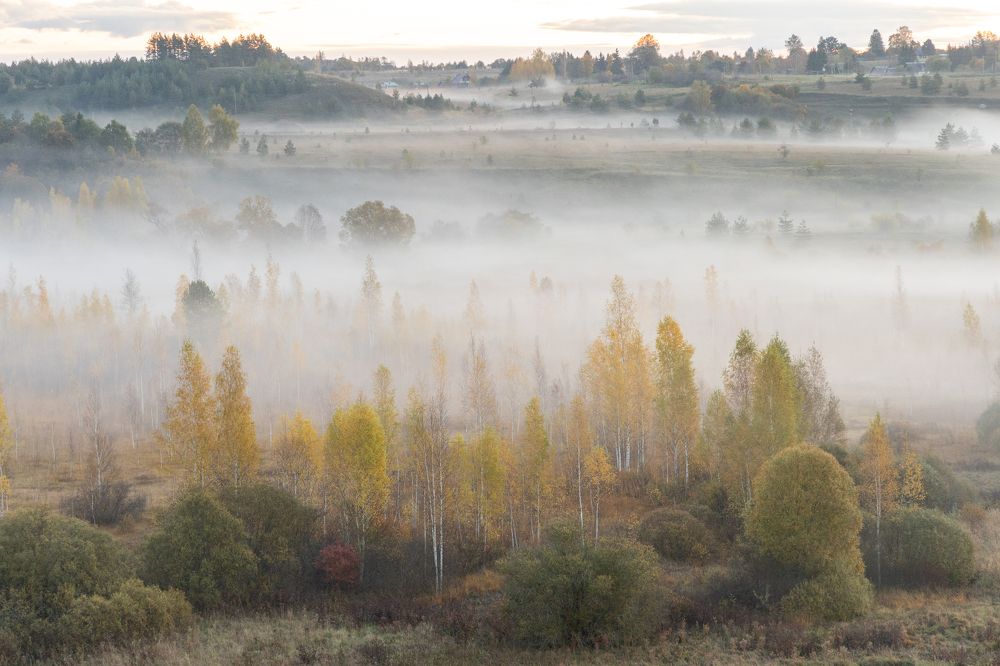 Фотография автора Виктор Громов
