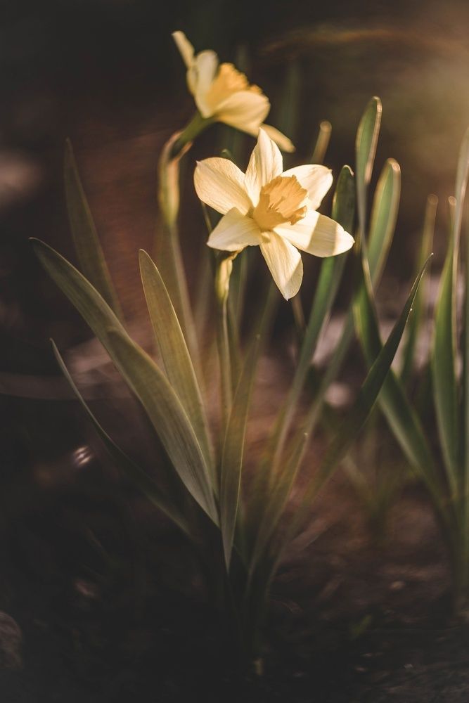 Photograph by Лапшина Владлена