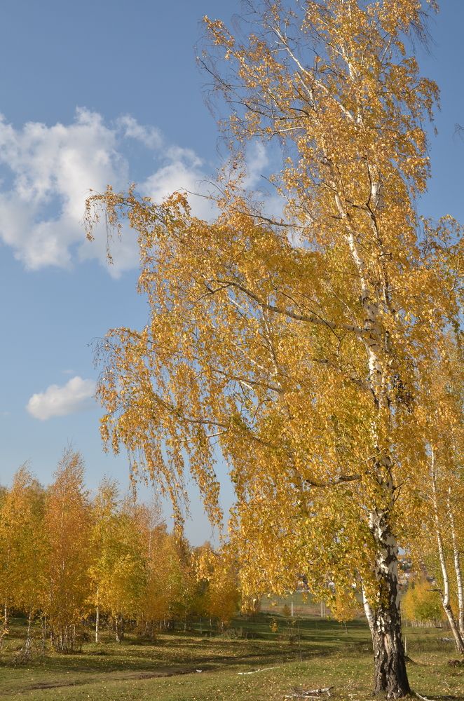 Photograph by Татьяна Валерьевна