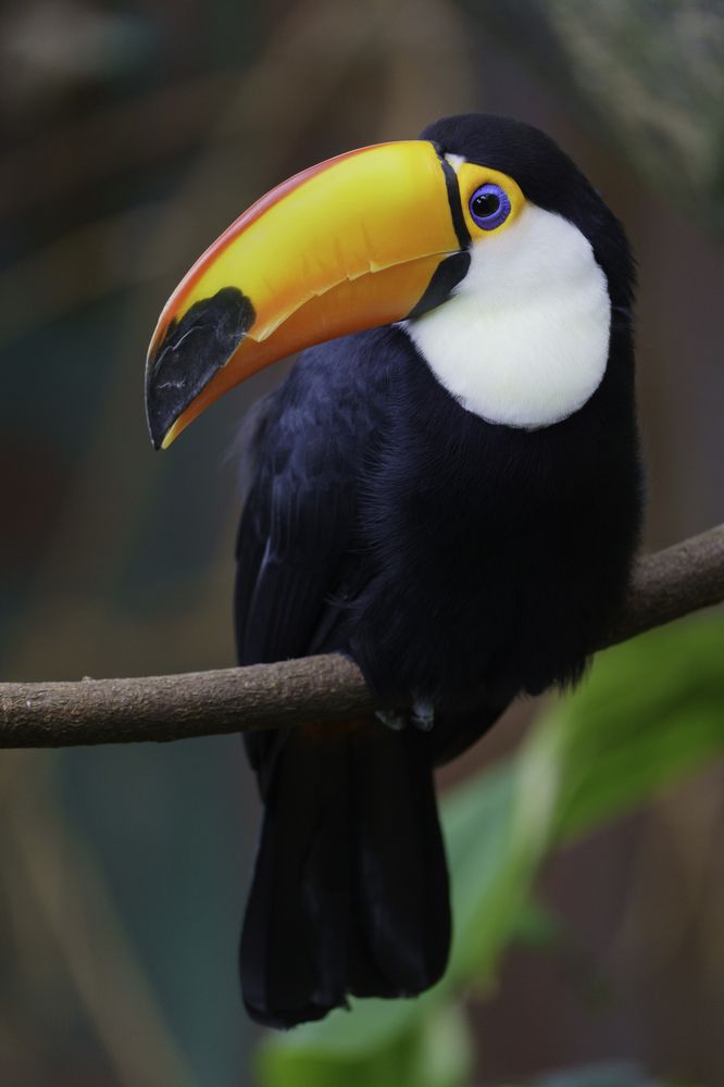 Photograph by Rino Suren