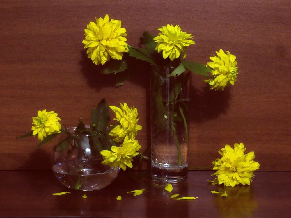 Photograph by Ольга Березовская