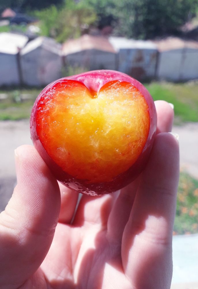 Photograph by Бутовец Алёна