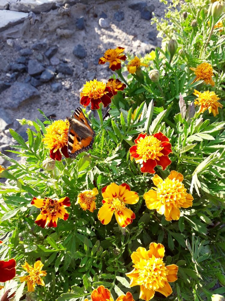 Photograph by Бутовец Алёна