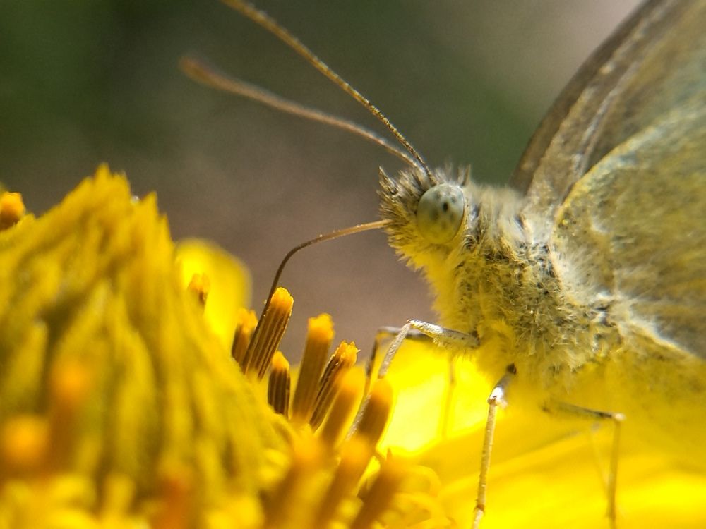 Photograph by Анна Степанова