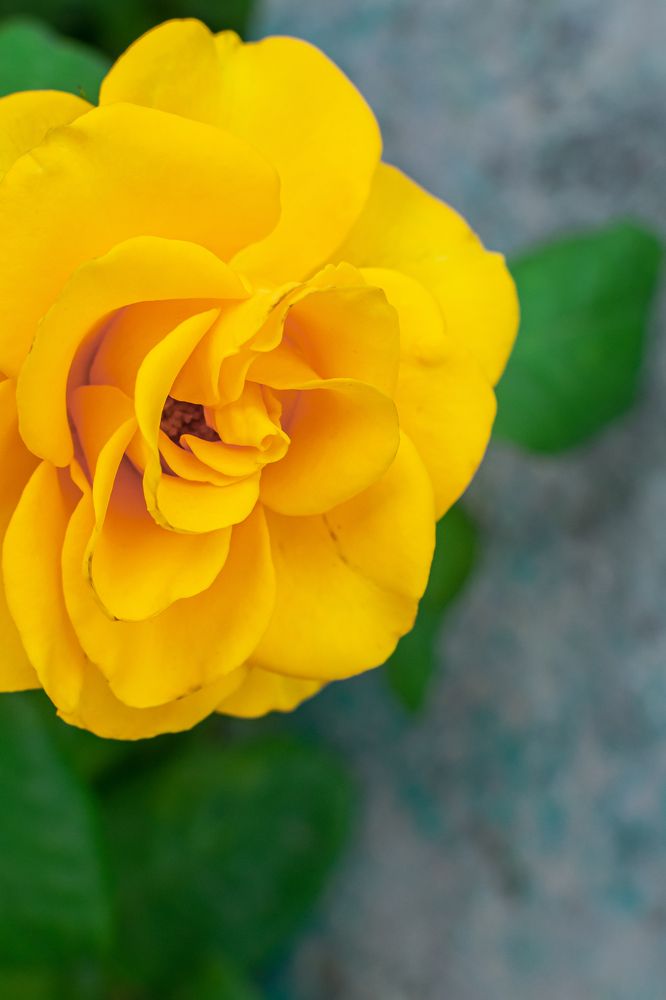 Photograph by Екатерина Абатурова