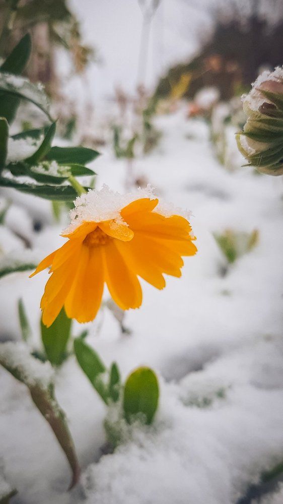 Photograph by Екатерина Абатурова