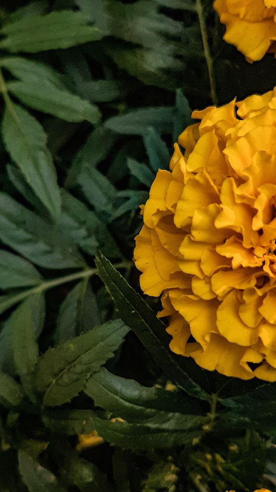 Photograph by Екатерина Абатурова