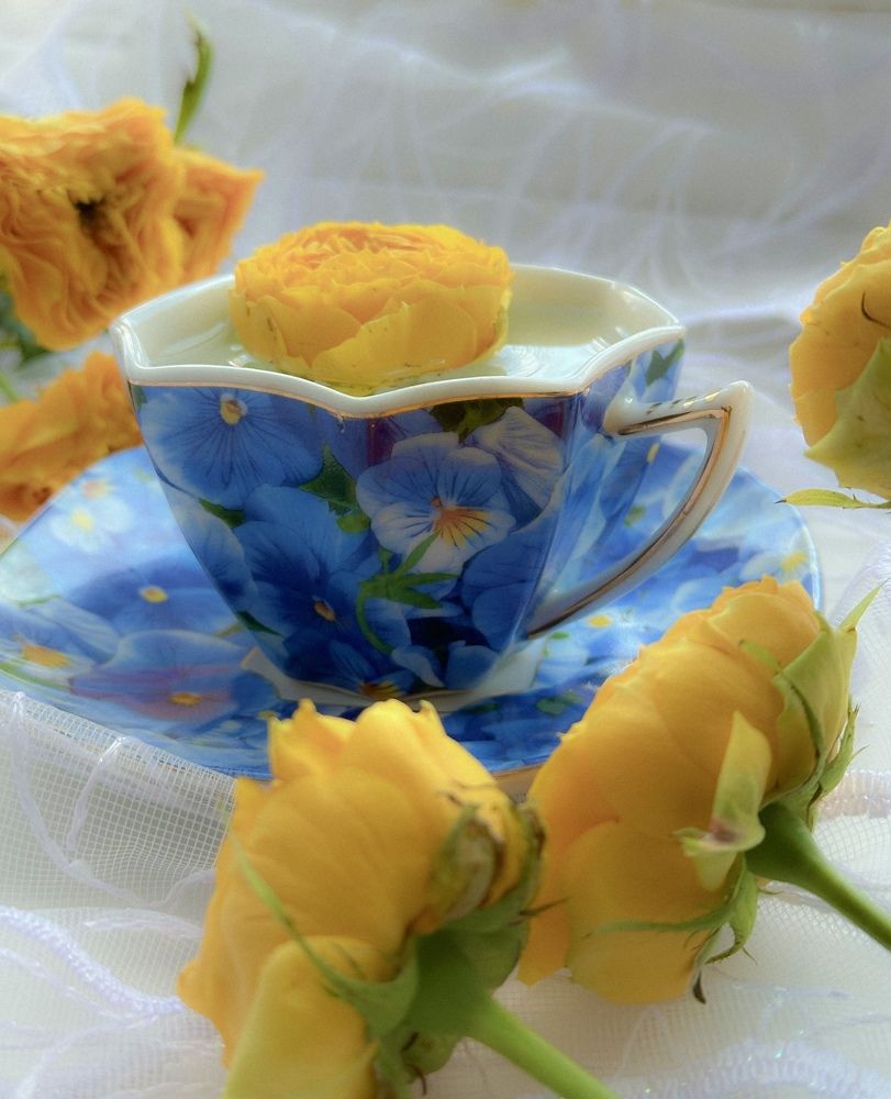 Photograph by Ксения Гулькова