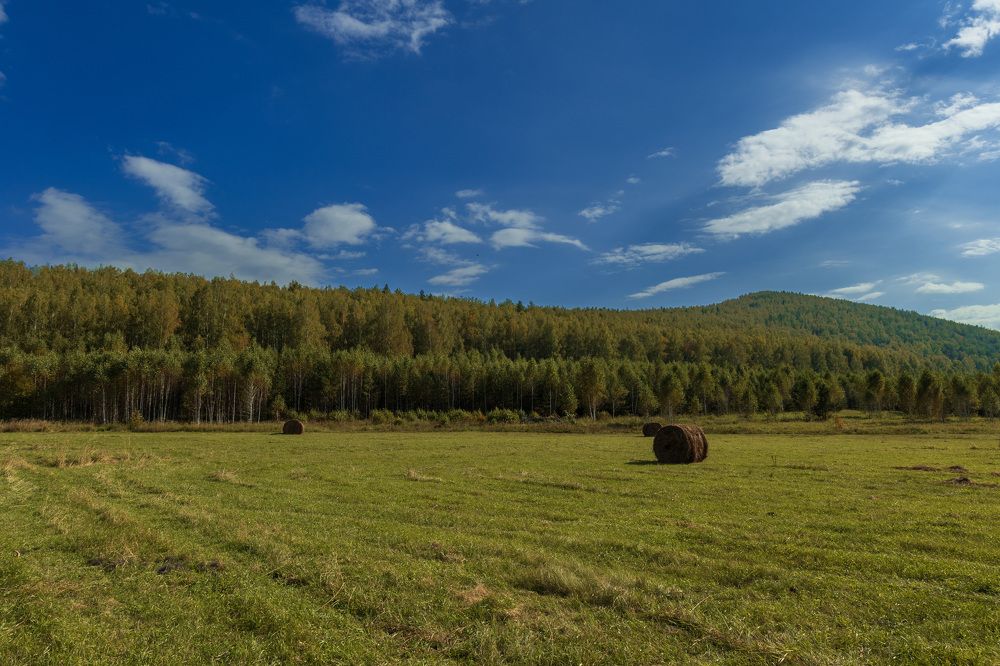 Осеннее поле