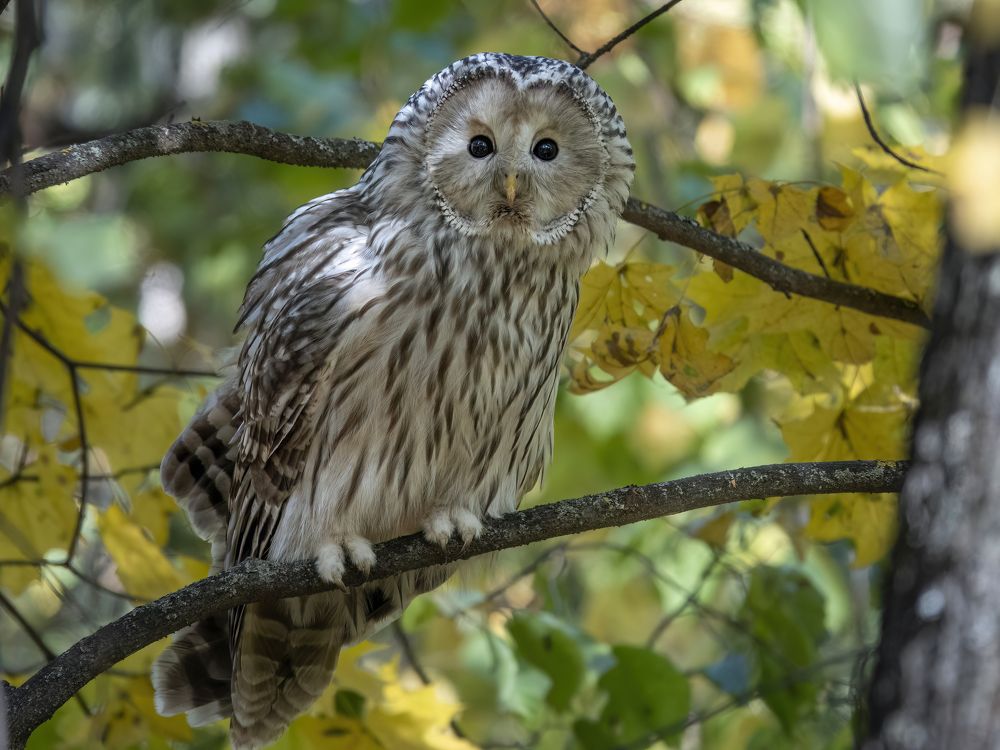 Photograph by Владимир Зайцев