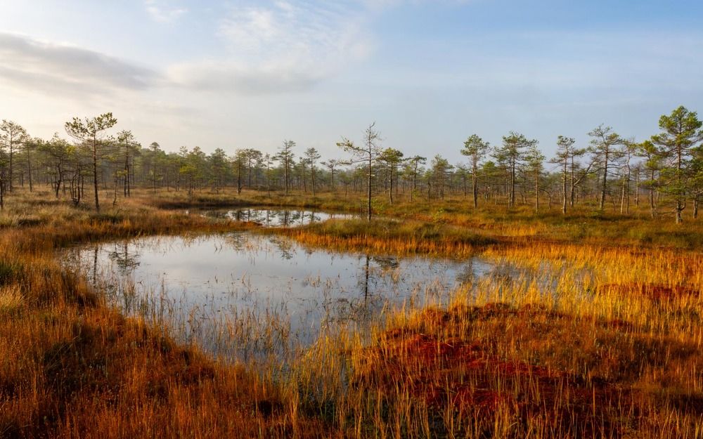 Photograph by Vera Komarova