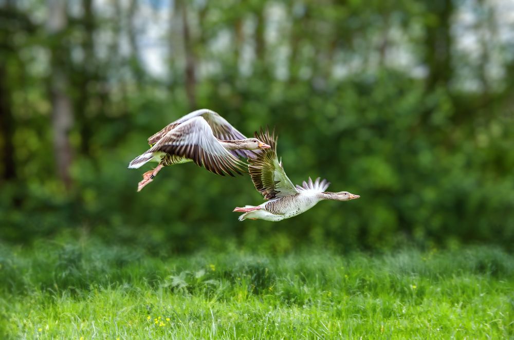 Photograph by Ольга Ильина