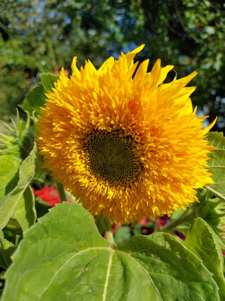 Photograph by ЭЛЬМИРА  ИСМАИЛОВА