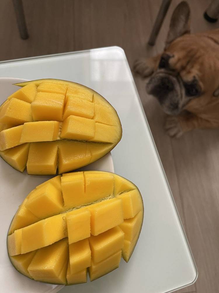 Фотография автора Юлия Косинова