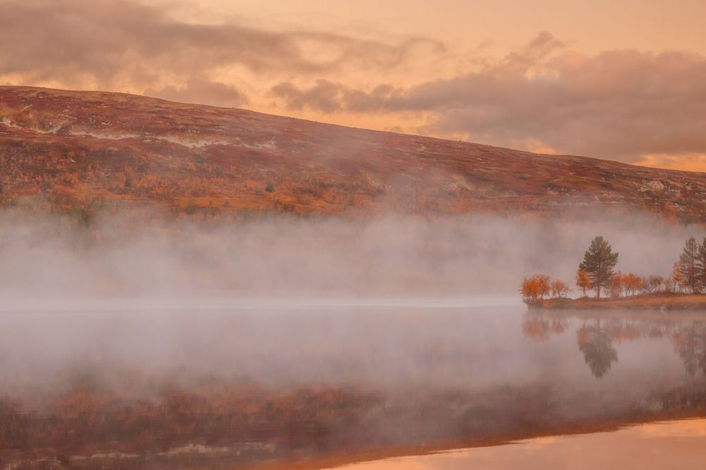 Photograph by Erik Ersson