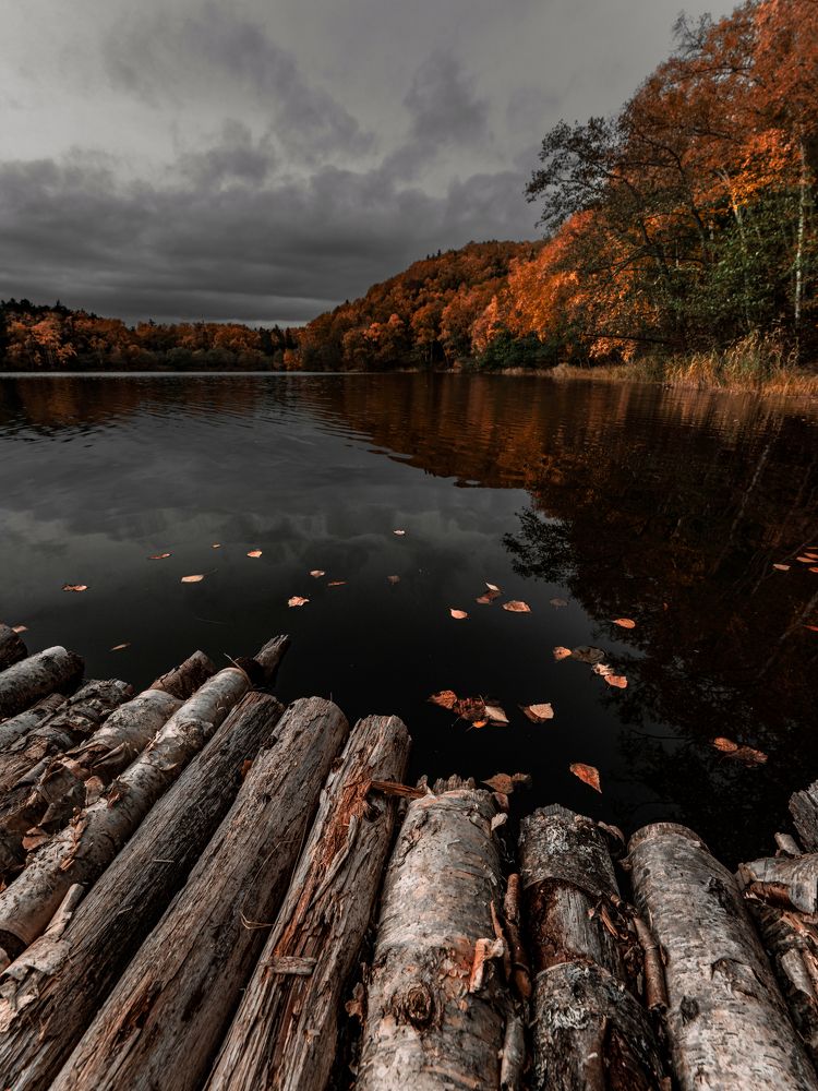 Крестоножка