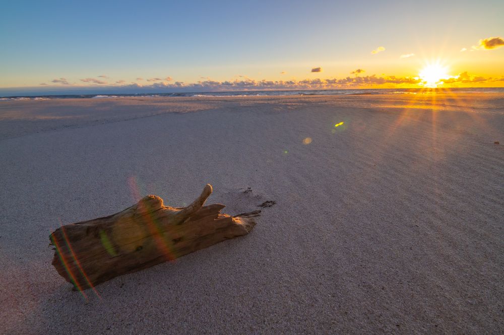 Photograph by Константин Чижов