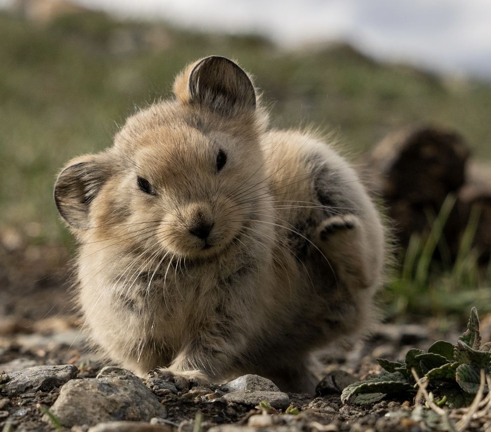 Photograph by Владимир Цветов
