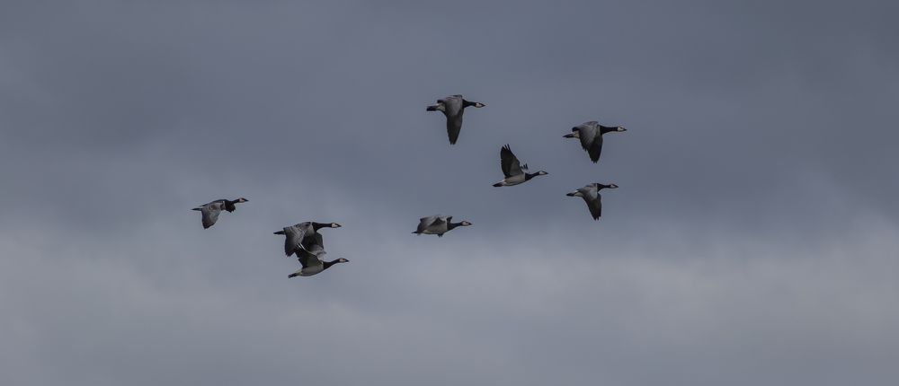 Photograph by Александр Фанталов