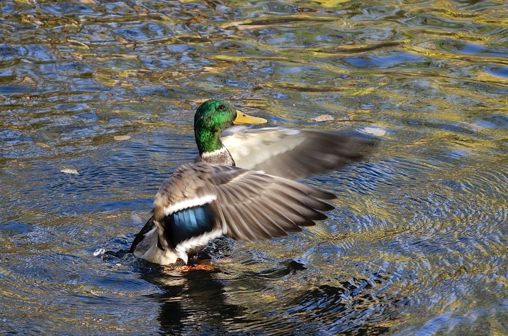 Photograph by Анна Потапова