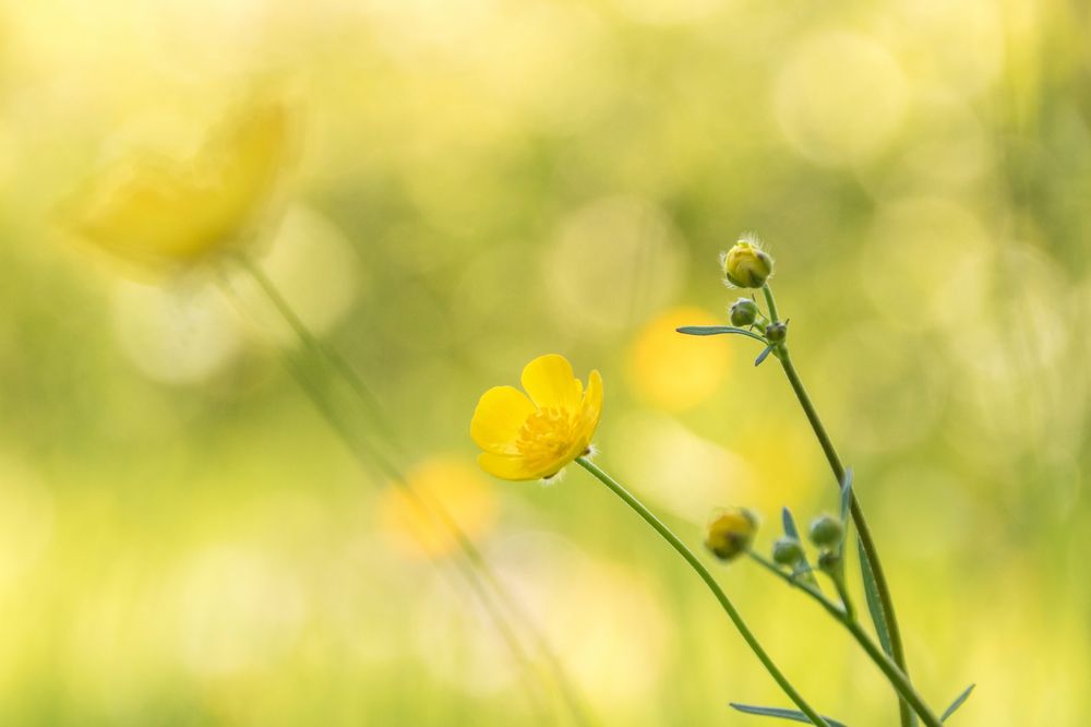 Photograph by Сипаева Катерина