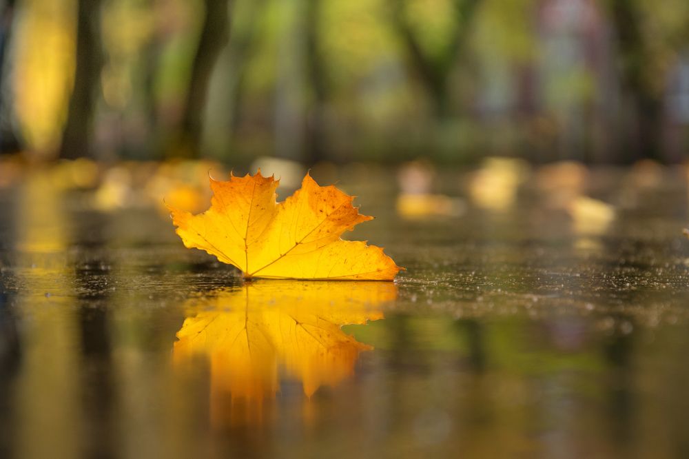 Photograph by Сипаева Катерина