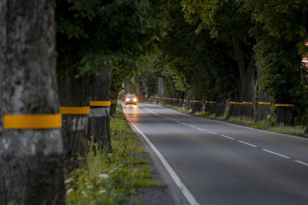 Photograph by Константин Чижов