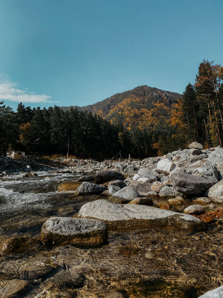 Photograph by Мария Петрова