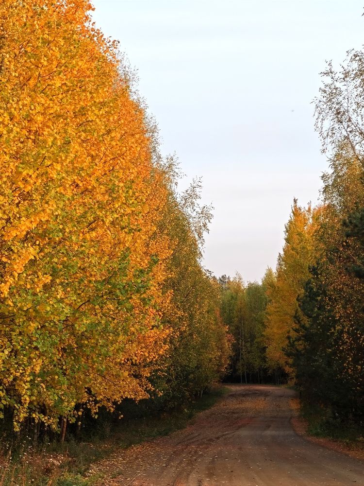 Photograph by Надежда Кангина