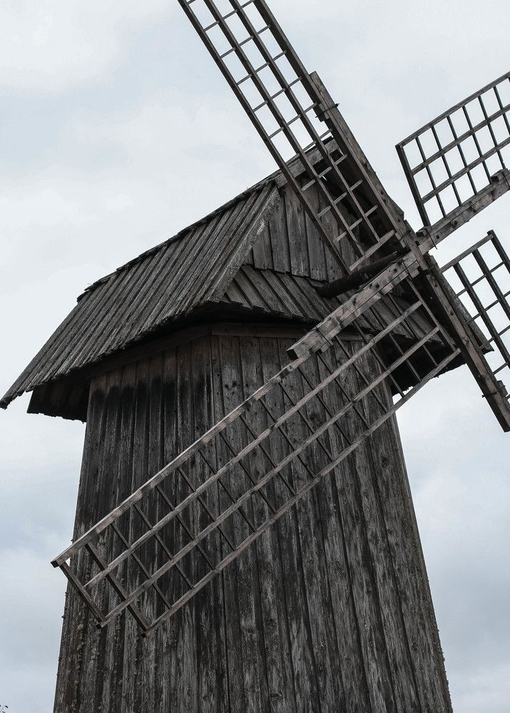 Photograph by Анастасия Калина