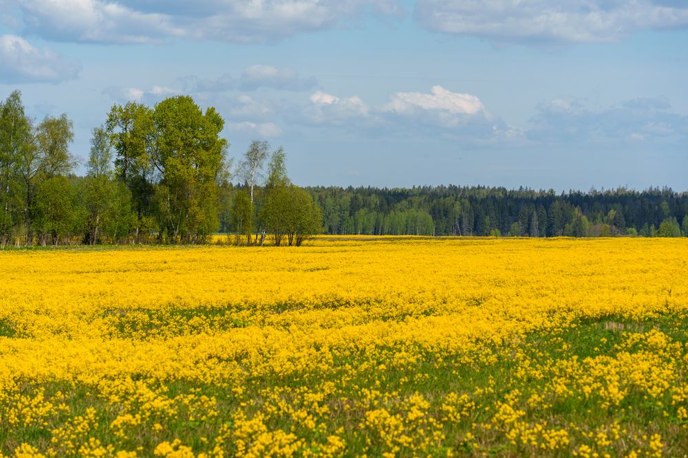 Photograph by Добродий Михаил