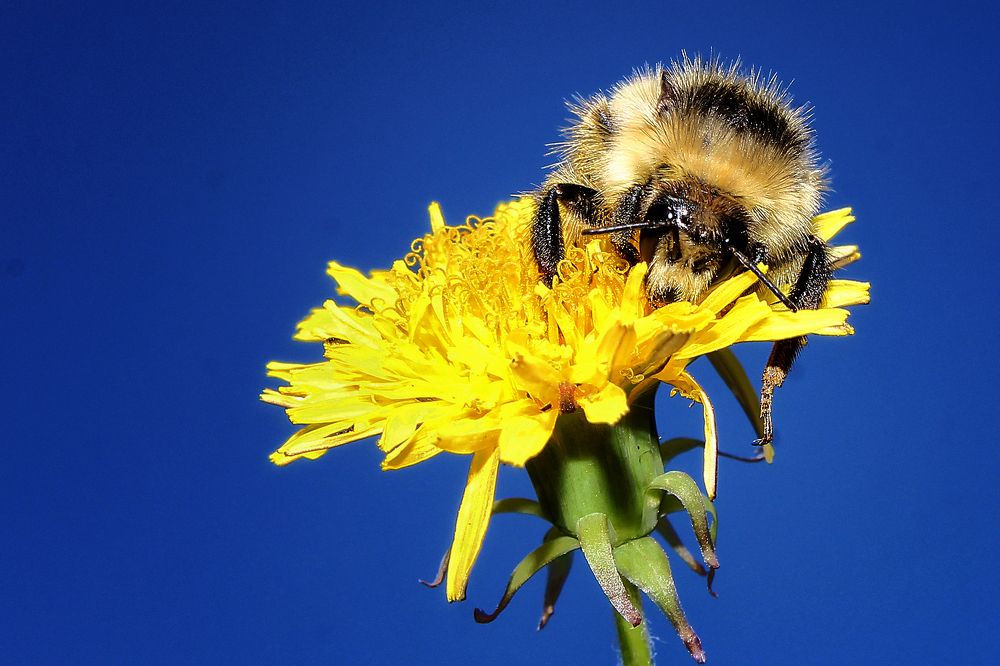 Photograph by Vitaliy Saposhnikov