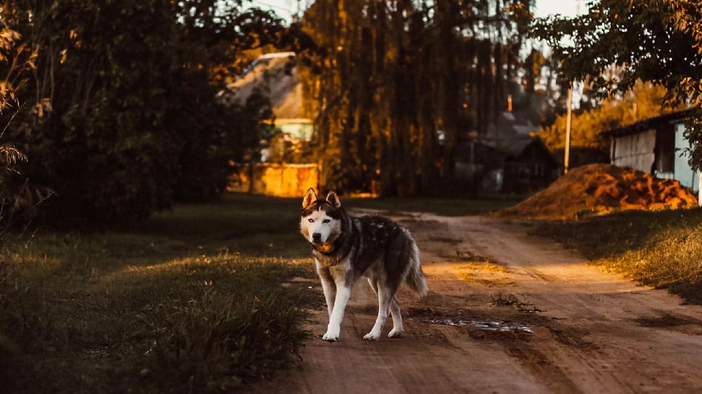 Photograph by Анастасия Калина