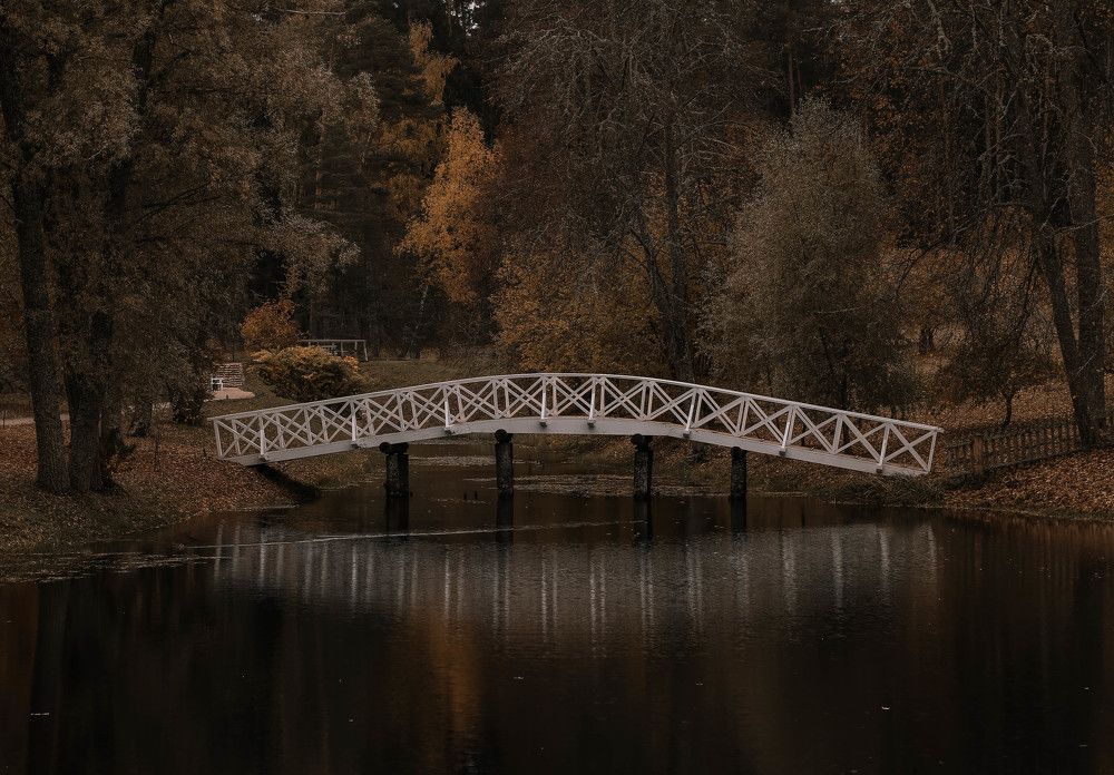 Photograph by Анастасия Калина