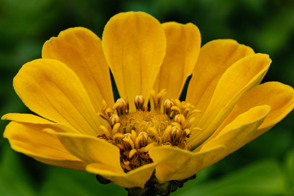 Photograph by Добродий Михаил