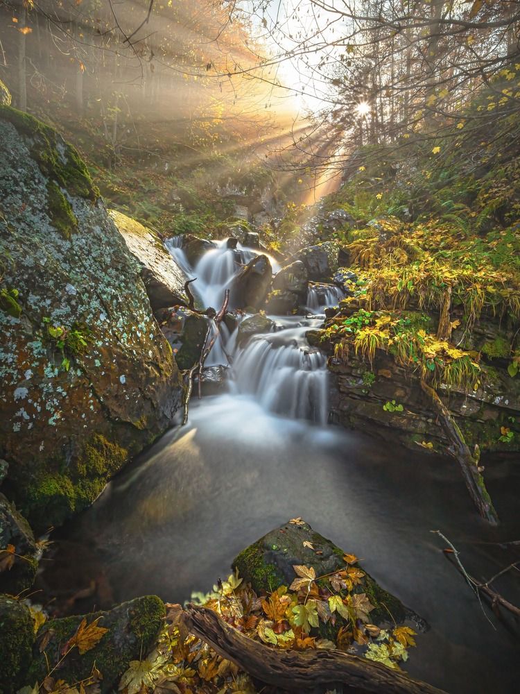 Photograph by Davide Poletto