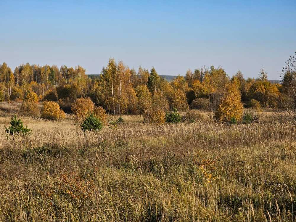 Photograph by Евстигнеев Евгений Васильевич