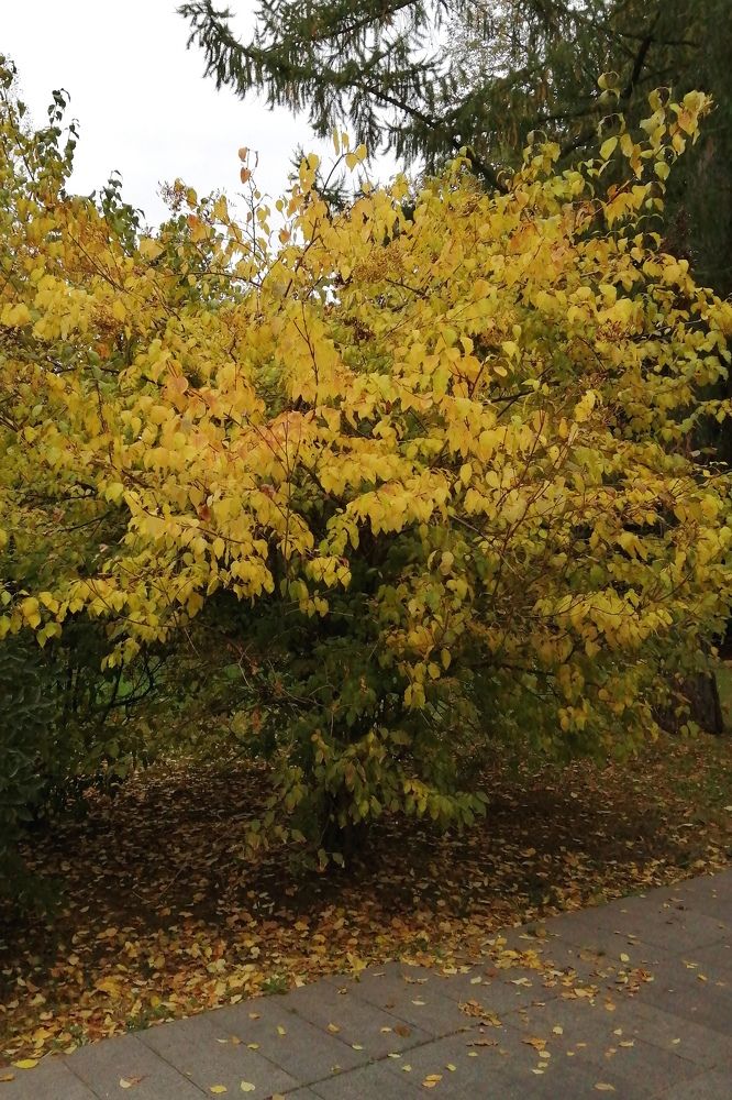 Photograph by Римма Бобрякова