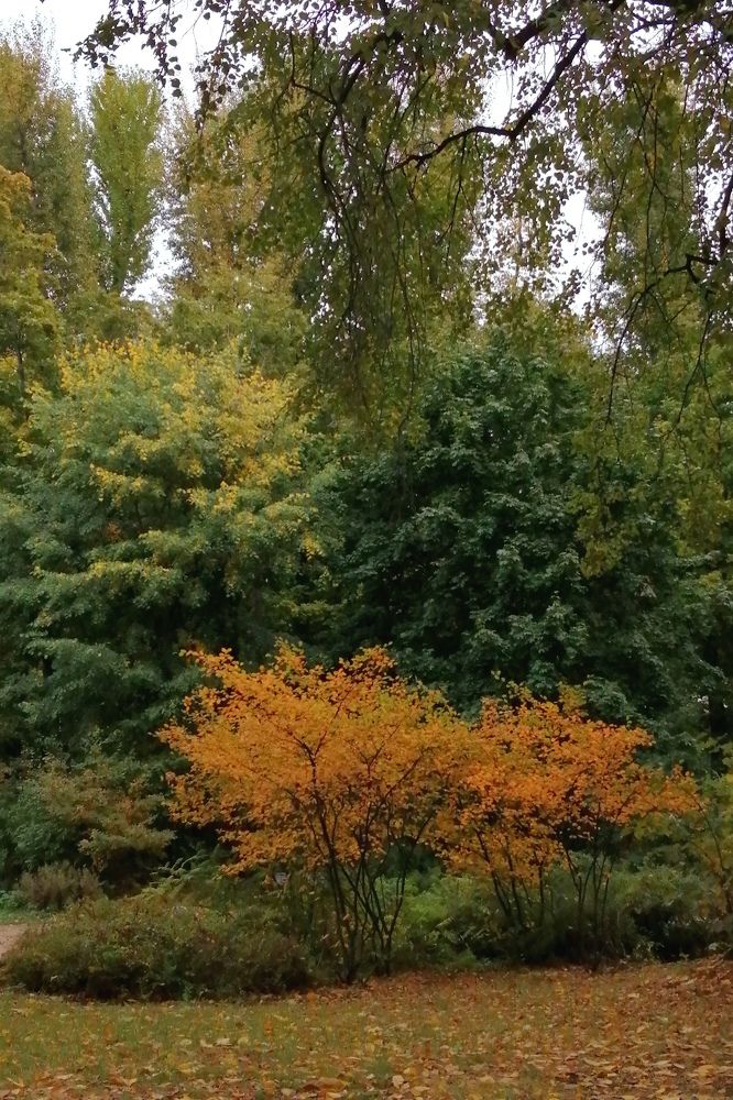 Photograph by Римма Бобрякова