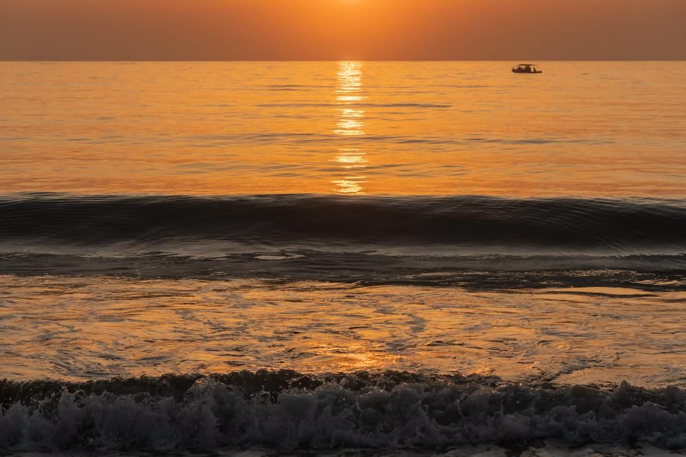 Photograph by 